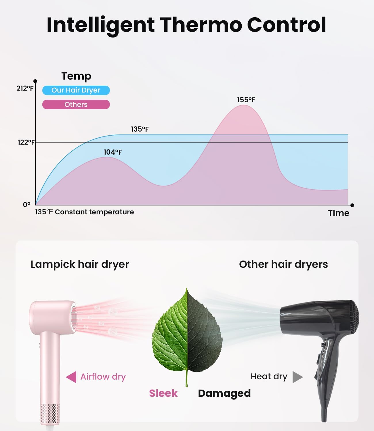 Lampick Hair Dryer | HD21U